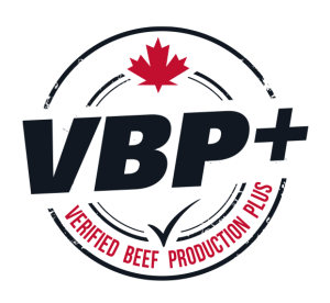 VBP (Verified Beef Production Plus) - Red Coat Cattle Feeders - Saskatchewan