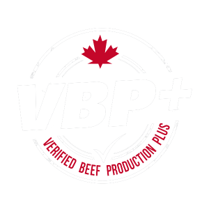 VBP (Verified Beef Production Plus) - Red Coat Cattle Feeders - Saskatchewan